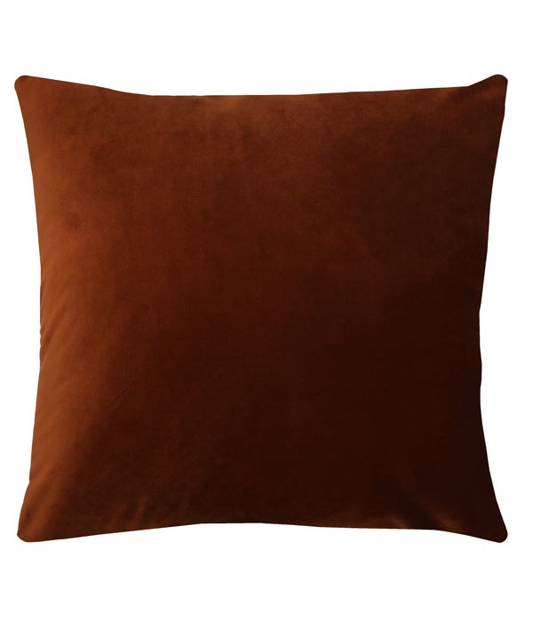 Delicious Pillow 20x20 Rust
